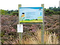 SU8258 : Information board on Yately Common by Shazz