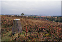 SJ9348 : Wetley Moor trig point by Richard Dorrell