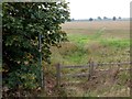 Field path to the south of Dunholme