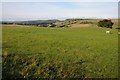 Farmland on the edge of the Denbigh Moors