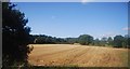 TQ7224 : Farmland, Rother Valley by N Chadwick