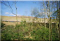 TQ1735 : Brookhurst Wood Landfill Site by N Chadwick