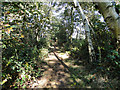 Footpath to Aldringham church