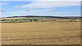 Stubble near Travebank