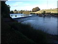 The Caul (weir) on the River Annan