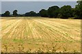 Arable field near Steeple Claydon