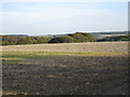 SE8646 : View towards Warren Dale by Jonathan Thacker