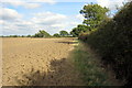 Footpath along the field edge