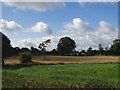 M8862 : Field near Ballymartin More by Ian Paterson