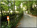 Lane beside the Dean Burn at Upper Dean