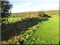 Hedge Line View from Clumpton Hill Triangulation Pillar