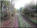 NY3154 : Bridleway at Parson's Thorn by Peter Wood