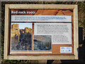 Information Board about Cliffs,  Budleigh Salterton, Devon