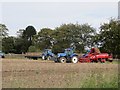 Potato harvest