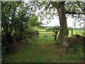 Llwybr Heol Wern Ddu Road Path