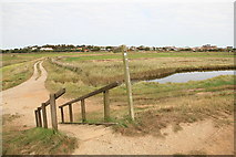 TM4555 : Public footpath, Aldeburgh Marshes by Rob Noble