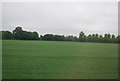 Field near Bury End Farm