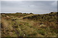 SE0704 : Path amongst peat groughs by Bill Boaden