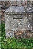 SD6994 : Benchmark on St Mark's Parish Church by Roger Templeman