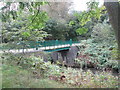 Footbridge over the River Medlock, Clayton Vale