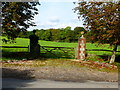 Elegant field entrance at Harroway Farm