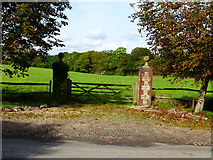 SU7121 : Elegant field entrance at Harroway Farm by Shazz