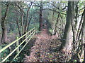 Brighouse Boundary Walk Path Passing Through Woodland