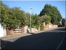 SO9390 : Boundary of former industrial sites, northeast end of Parkway Road, Dudley by Robin Stott