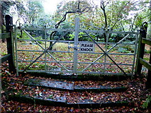 H4963 : Gate, Memorial Garden, Seskinore Forest by Kenneth  Allen