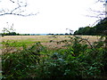 Looking south from the SDW over large field to pylon