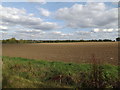 TL7248 : Farmland off Buntry Lane by Geographer
