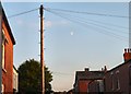 Afternoon Moon over Henry Street