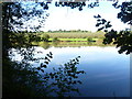 Former hammer pond near Brenchley