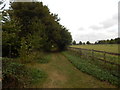 Path to the Groton Winthrop Mulberry