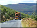 T0786 : Logging truck on the Military Road by Oliver Dixon