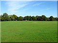 Ansty Recreation Ground