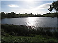 Reflected sunlight on Loughinisland Lake