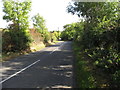 View east along Loughinisland Road east of Annadorn Cross Roads