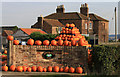 SE8176 : Pumpkin display at Howe Bridge Farm by Pauline E