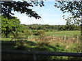 Grazing land and woodland north of the Tareesh Road