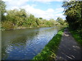 The Paddington Arm of the Grand Union Canal near Alperton