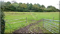 Pasture and wood on Corse Wood Hill