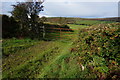 Bridleway to the open moor