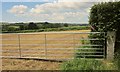 Field near Bodway