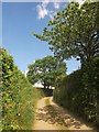 Lane near Bodway