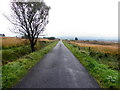 H4491 : Ballynasollus Road, Tullynadall by Kenneth  Allen