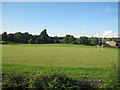 Rugby pitch at Leyfields