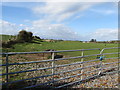 The former track bed of the Downpatrick, Killough and Ardglass Railway west of Ballynoe Road