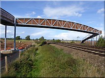 SX9784 : New bridge being constructed, Powderham by David Smith