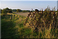 Farmland, Lewknor